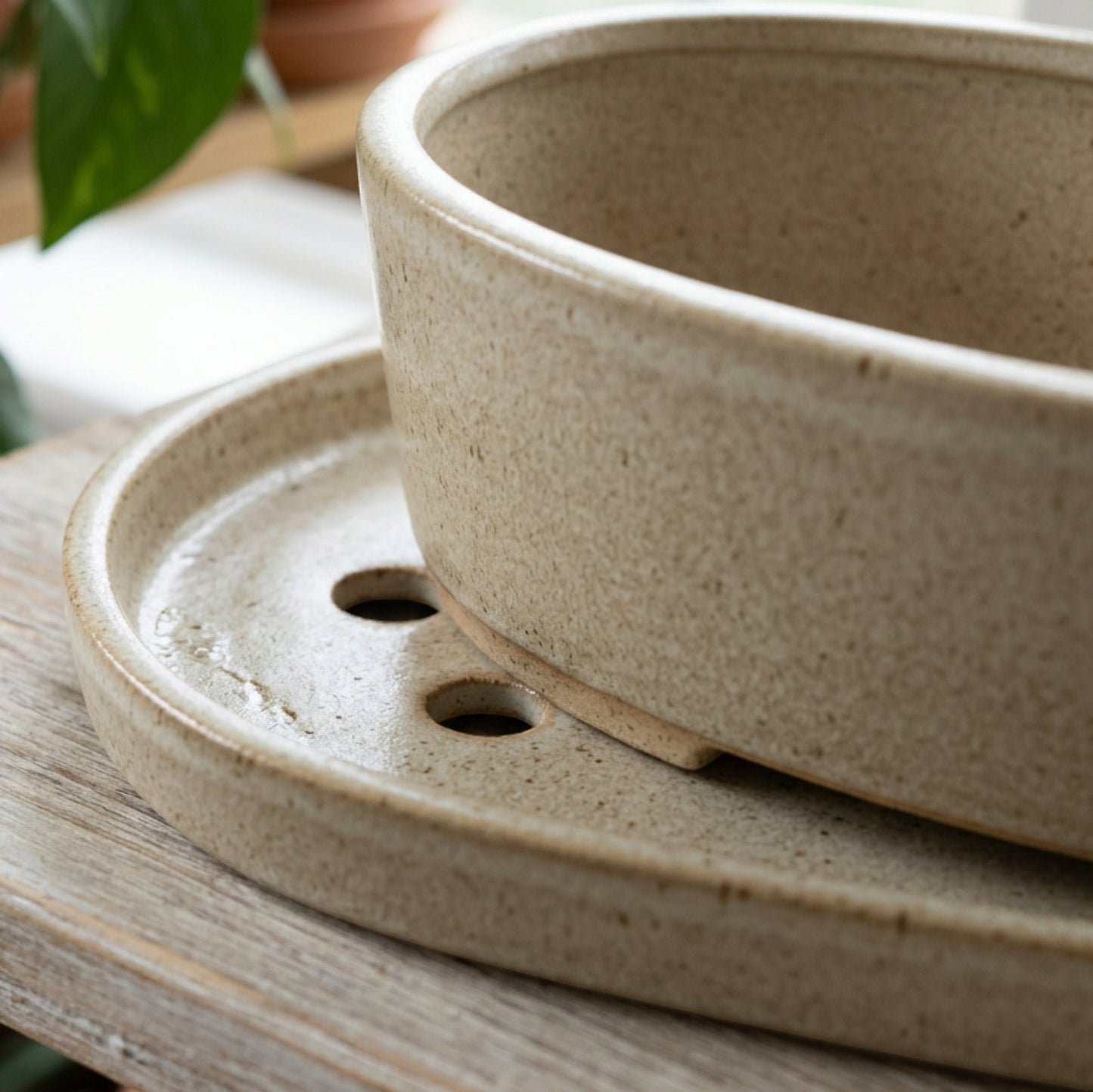 Ymxnd Lowvale Oval Ceramic Planter 10 in Oatmeal with Tray - Detail view