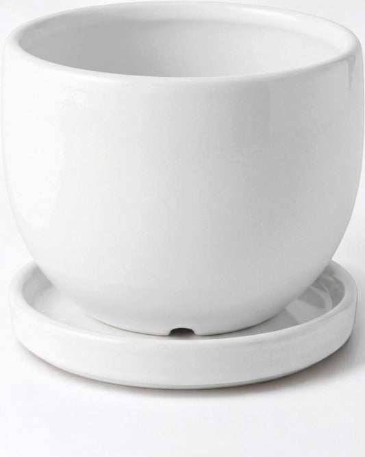 Ymxnd Round Ceramic Plant Pot White 12 cm with Saucer