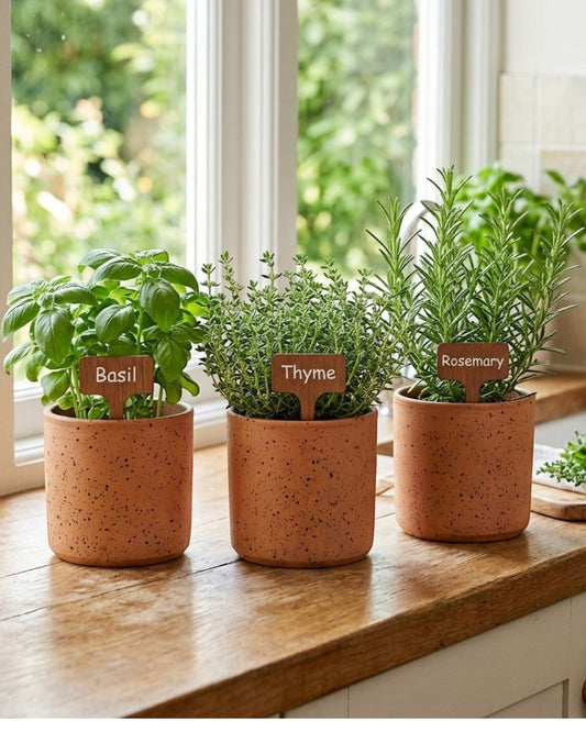 Ymxnd Speckled Ceramic Herb Pots Set of 3 Terracotta