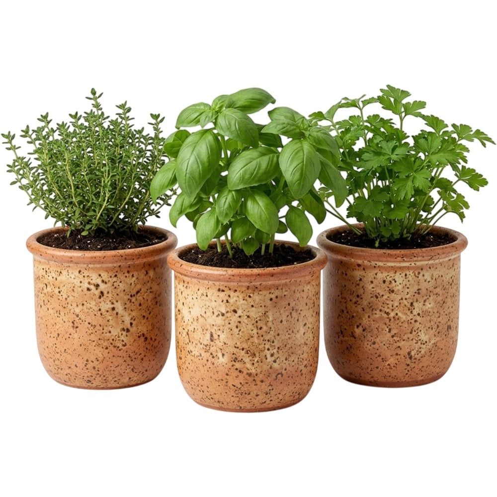 Ymxnd Speckled Ceramic Herb Pots Set of 3 Terracotta