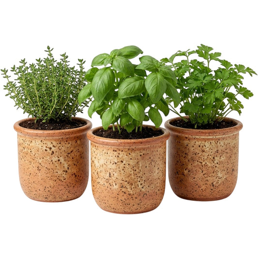 Ymxnd Speckled Ceramic Herb Pots Set of 3 Terracotta